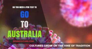 Traveling to Australia: PCR Test Requirements Explained for Visitors
