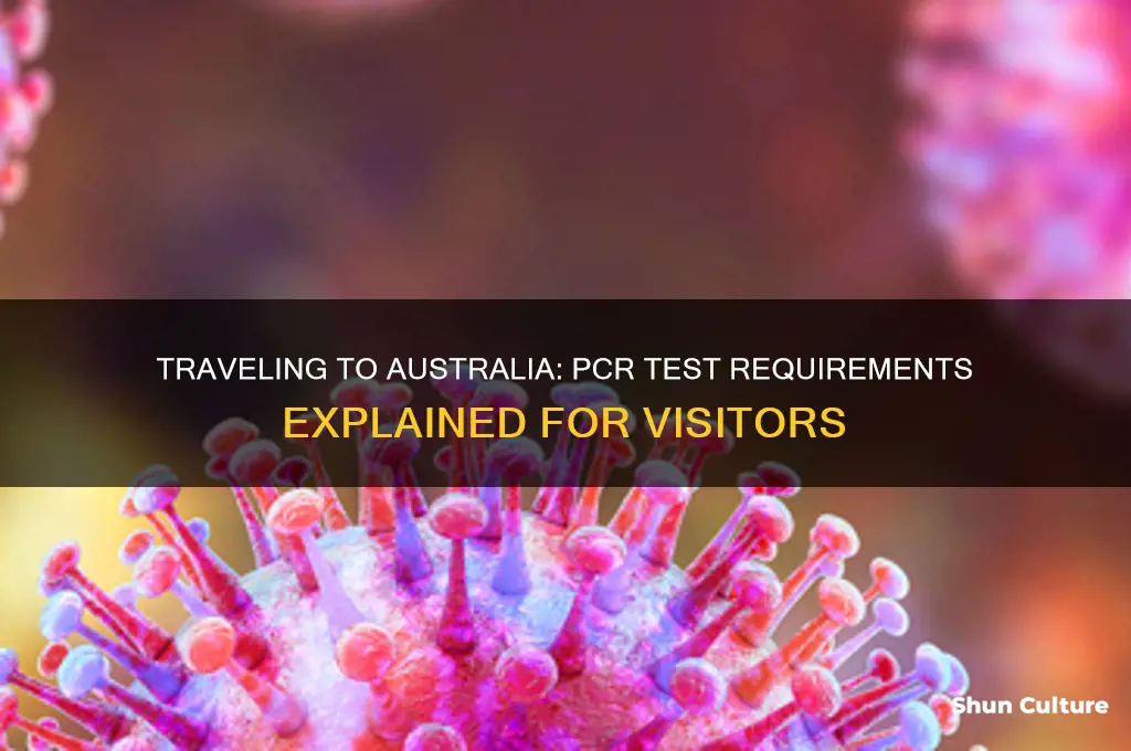 do you need a pcr test to go to australia
