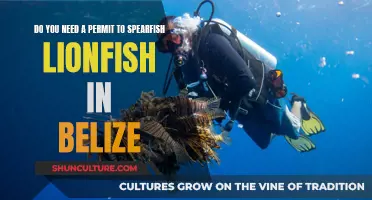 Spearfishing Lionfish in Belize: Permit Required?