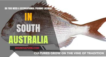 Recreational Fishing Licence Requirements in South Australia: What You Need to Know