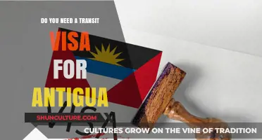 Do You Need a Transit Visa for Antigua? Essential Travel Guide
