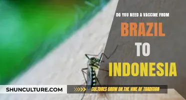 Traveling from Brazil to Indonesia: Vaccine Requirements Explained