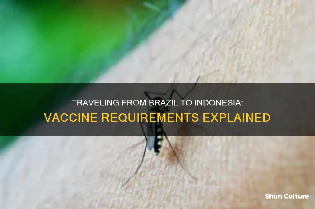 do you need a vaccine from brazil to indonesia