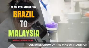 Traveling from Brazil to Malaysia: Vaccine Requirements Explained