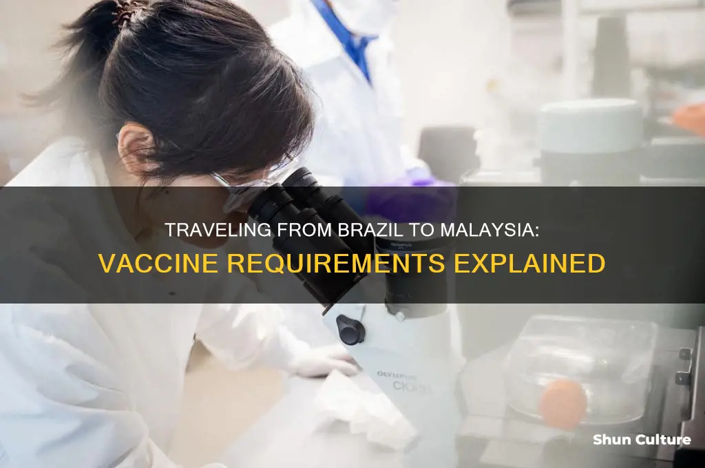 do you need a vaccine from brazil to malaysia