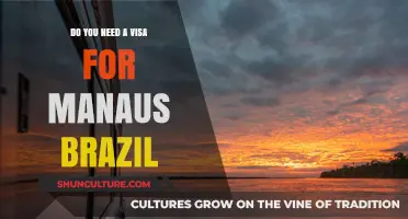 Traveling to Manaus, Brazil: Visa Requirements Explained