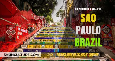 Traveling to São Paulo, Brazil: Visa Requirements Explained