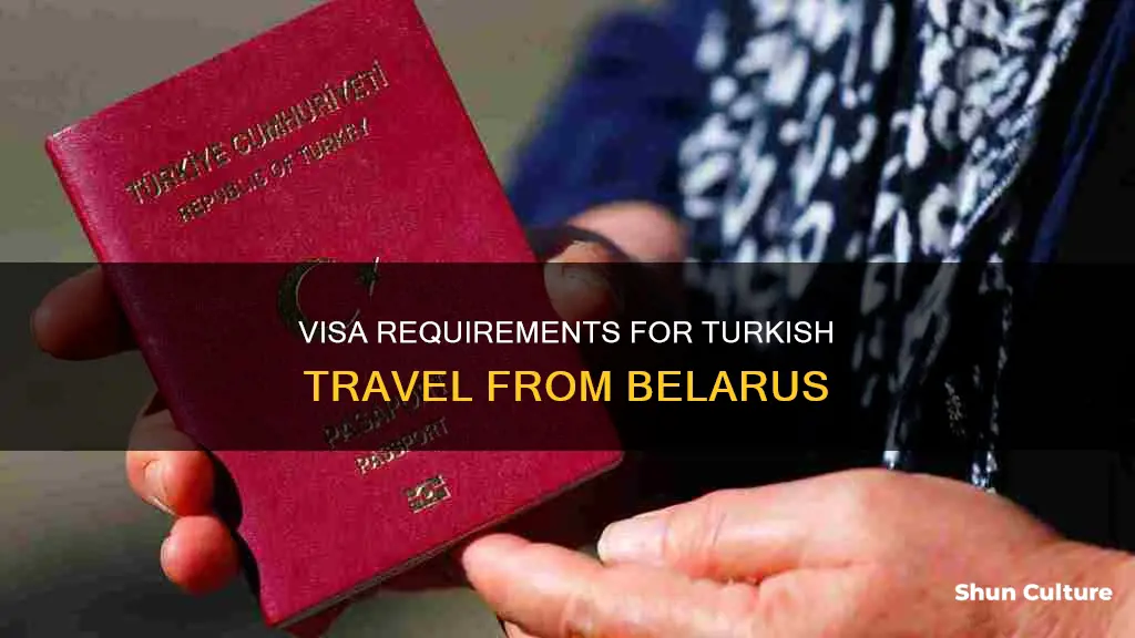 do you need a visa for turkey from belarus