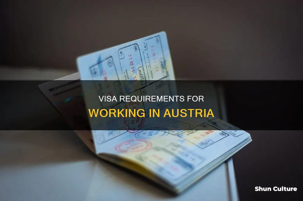 do you need a visa to work in austria