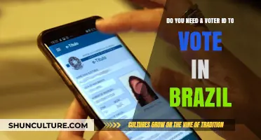 Voting in Brazil: Is a Voter ID Required to Cast Your Ballot?
