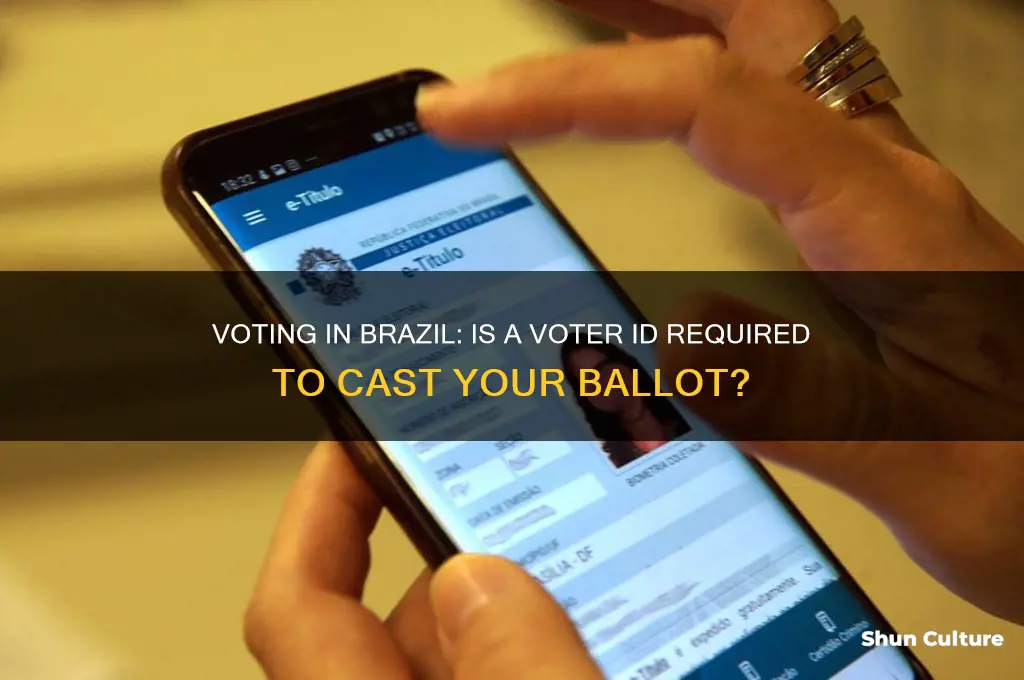do you need a voter id to vote in brazil