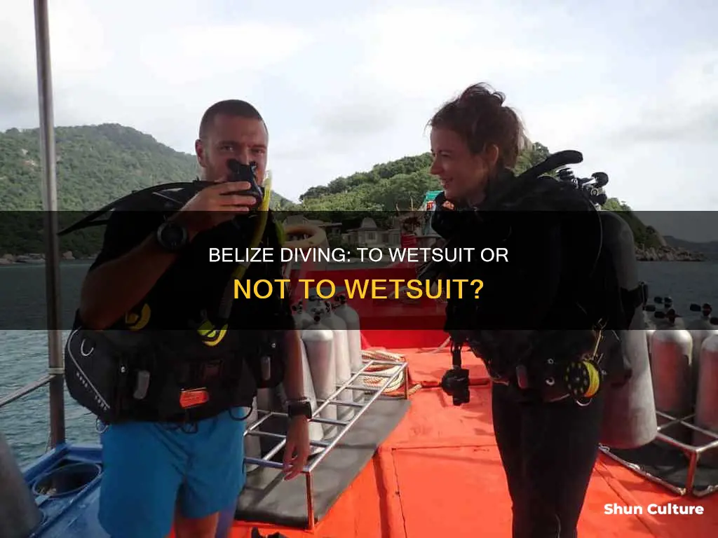 do you need a wetsuit to dive in belize