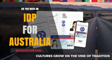 Do You Need an IDP for Australia? Essential Travel Document Guide