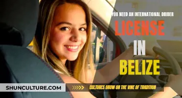 International Driving in Belize: License Requirements Explained