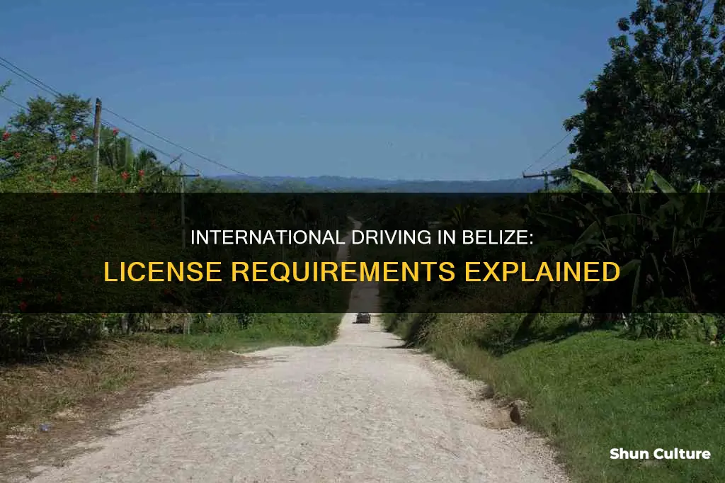 do you need an international driber license in belize