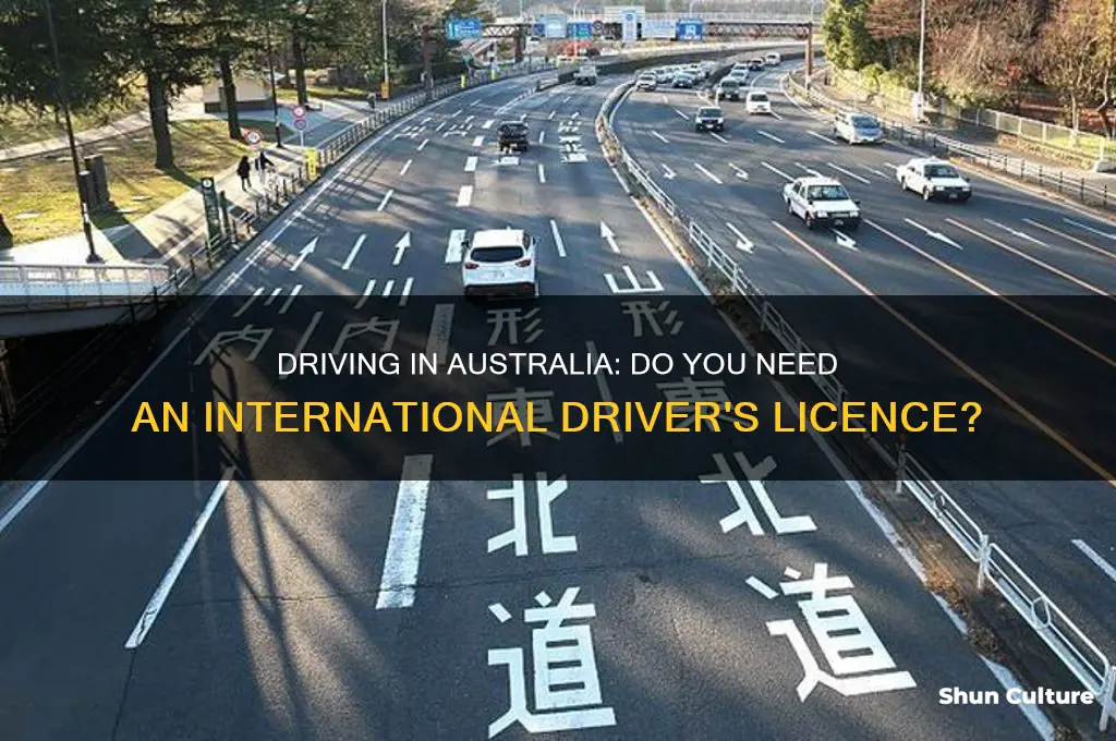 do you need an international driver