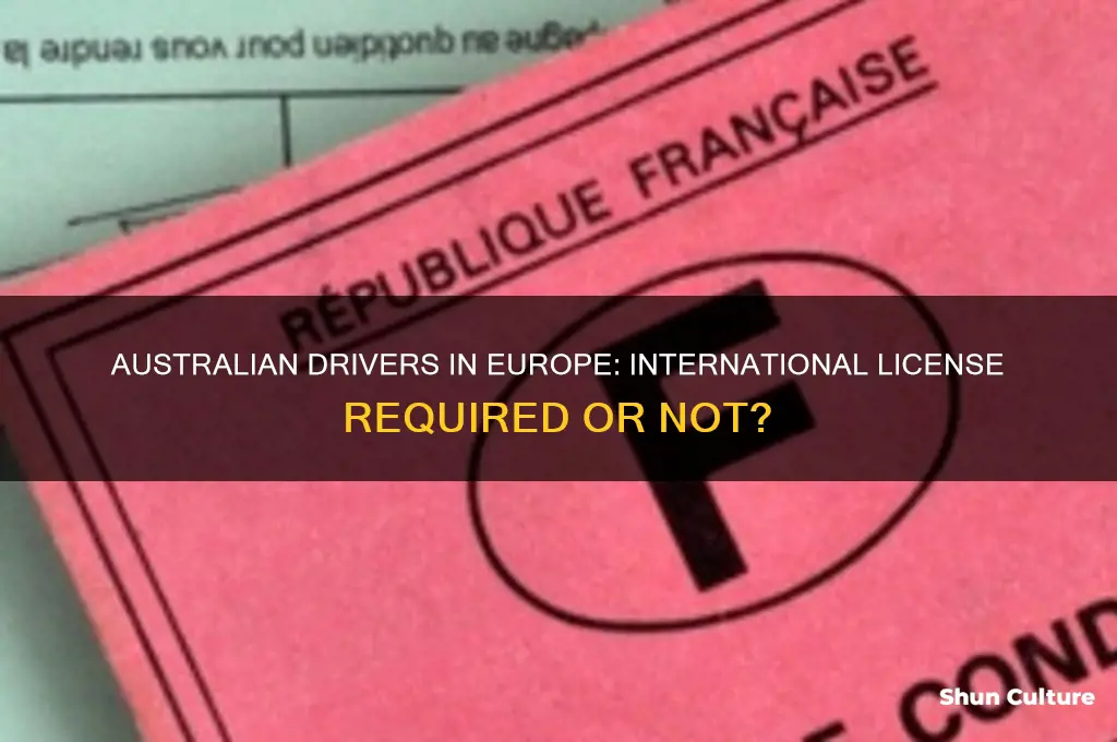 do you need an international driver