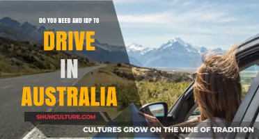 Driving in Australia: IDP Requirements for International Visitors Explained