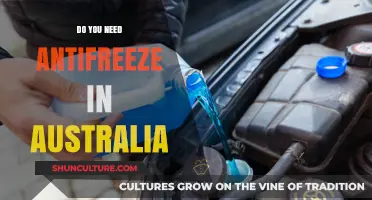 Antifreeze in Australia: Essential or Optional for Your Vehicle?