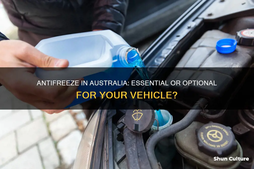 do you need antifreeze in australia
