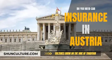 Car Insurance in Austria: What You Need to Know