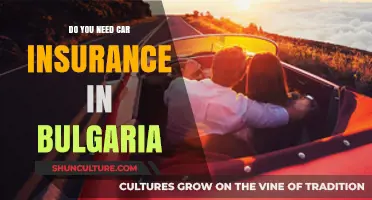 Navigating Bulgarian Roads: The Essential Guide to Car Insurance