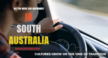 Car Insurance in South Australia: What You Need to Know