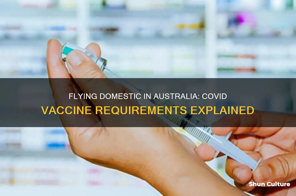 do you need covid vaccine to fly domestic australia