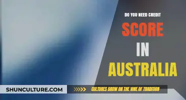 Understanding Credit Scores in Australia: Are They Essential for You?