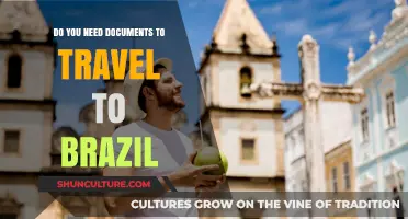 Traveling to Brazil: Essential Document Requirements for Hassle-Free Entry