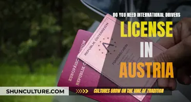 International Driving in Austria: License Requirements Explained