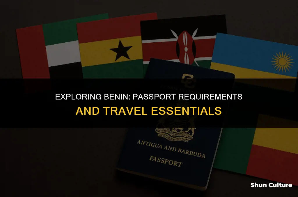 do you need passport to go to benin