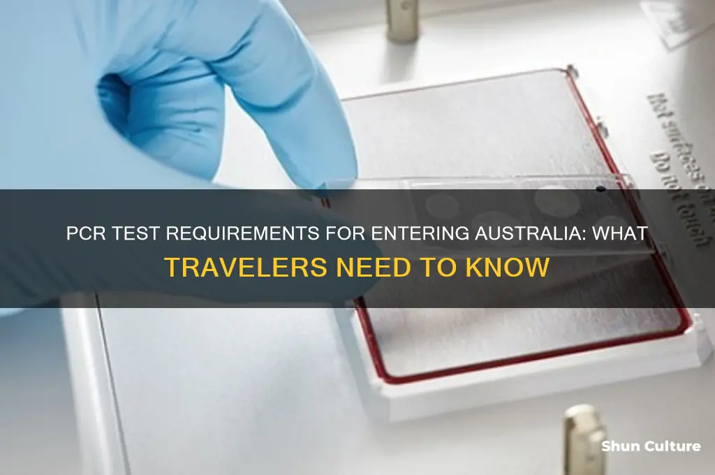 do you need pcr test to enter australia