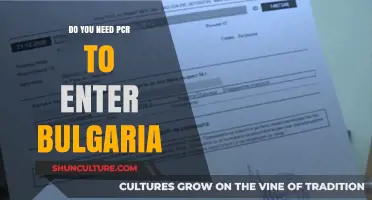 PCR Test Requirements for Entry into Bulgaria: What You Need to Know