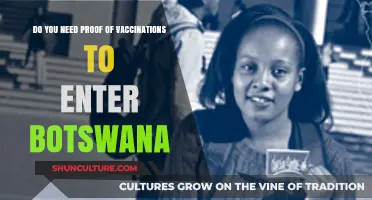Botswana Entry Requirements: Are Vaccination Records Mandatory for Travelers?