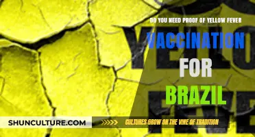 Traveling to Brazil? Yellow Fever Vaccination Proof Requirements Explained