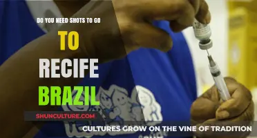 Traveling to Recife, Brazil: Essential Vaccination Requirements Explained