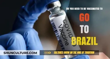 Traveling to Brazil: COVID-19 Vaccine Requirements and Entry Guidelines