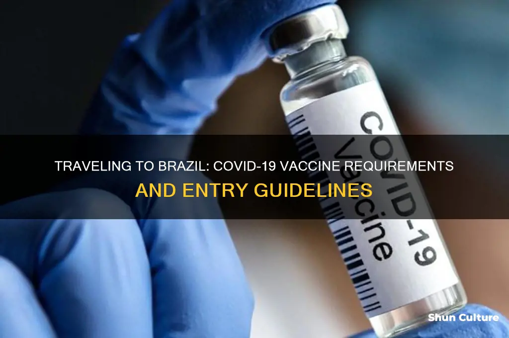 do you need to be vaccinated to go to brazil