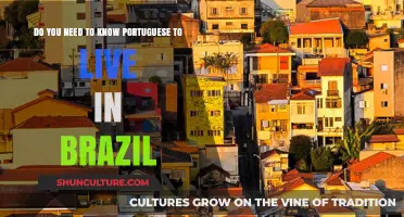 Living in Brazil: Is Portuguese Essential for Daily Life?