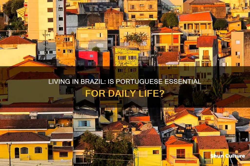 do you need to know portuguese to live in brazil