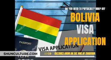 Bolivia Visa: Drop Off Application In-Person?