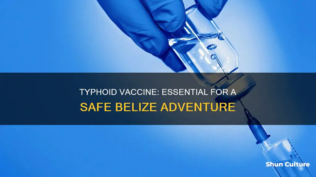 do you need typhoid vaccine for belize