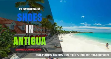 Exploring Antigua's Beaches: Are Water Shoes a Must-Have?