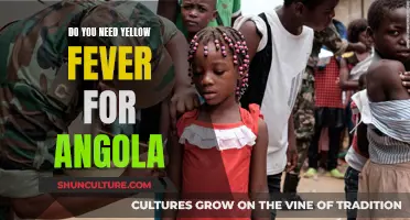 Yellow Fever Requirements for Angola: What You Need to Know