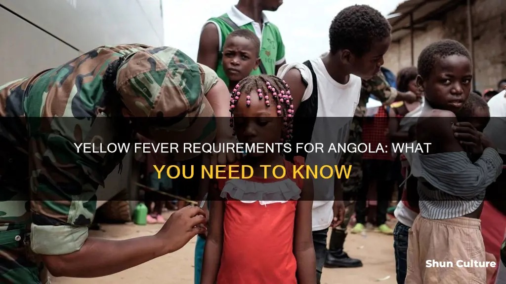 do you need yellow fever for angola