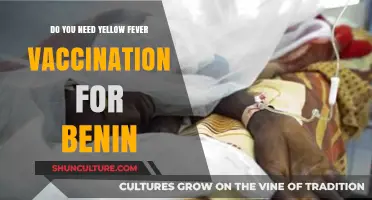 Exploring Benin: Yellow Fever Vaccination Essentials for Travelers