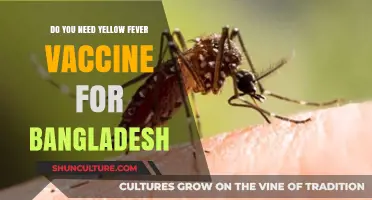 Yellow Fever Vaccine Requirements for Travelers to Bangladesh Explained