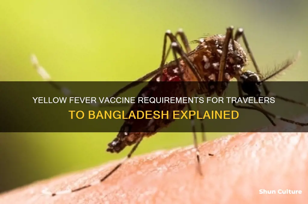 do you need yellow fever vaccine for bangladesh