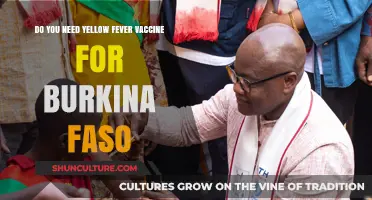 Exploring Burkina Faso: Yellow Fever Vaccine Essentials for Travelers